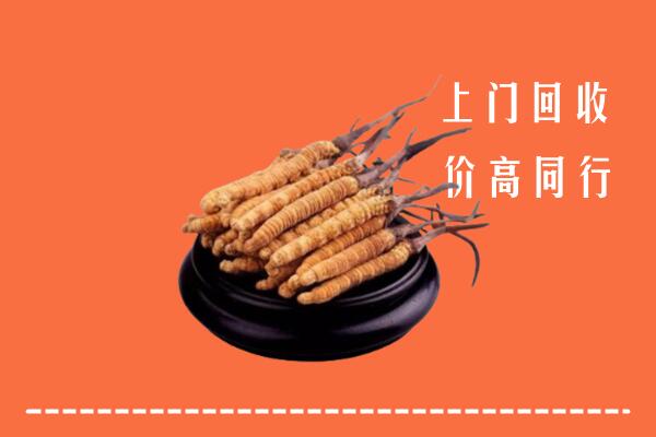 高价求购：楚雄州牟定回收散虫草